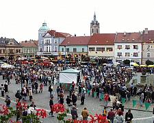 Obrázek 1